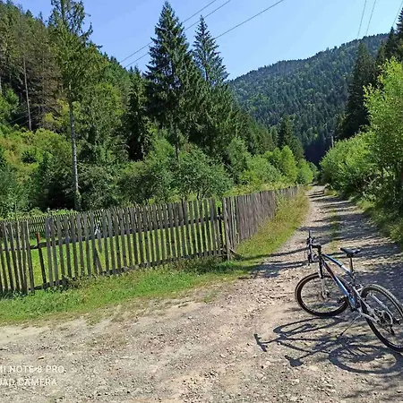 чотири стихії