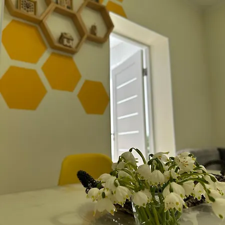 чотири стихії בית נופש Mizhhirya (Transcarpathia)