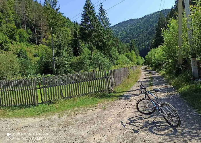 чотири стихії