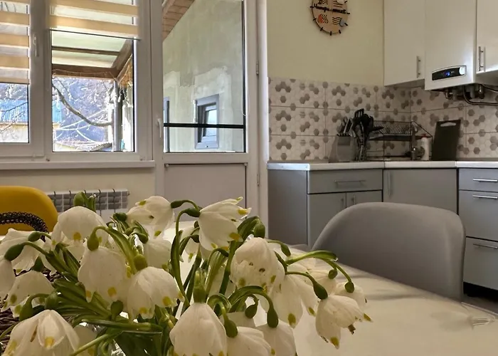 чотири стихії Tatil Evi